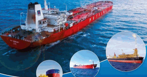 PVT và canh bạc trẻ hóa đội tàu giữa tâm bão địa chính trị