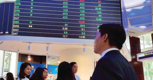 Cơ hội đang mở với GMD và MSB?