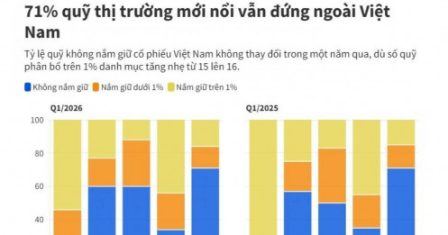 FTSE mở cửa nhưng tiền lớn chưa vào, 71% quỹ thị trường mới nổi vẫn đứng ngoài cổ phiếu Việt