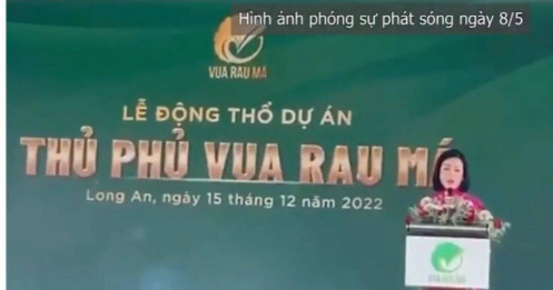 Khởi tố Chủ tịch CCV Group