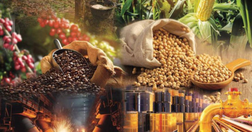 Bài viết HAY của chuyên gia