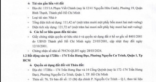 2 lô 'đất vàng' tại TP. HCM của Lộc Trời bị ngân hàng thu giữ