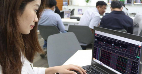 Dòng tiền chứng khoán đang chảy về đâu?