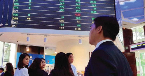 Chứng khoán đang rẻ bất thường?