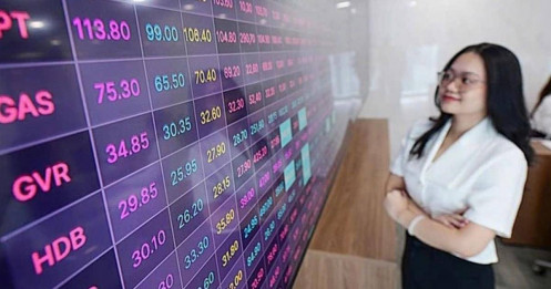 Cổ phiếu Việt rẻ bất thường giữa lúc kinh tế tăng tốc