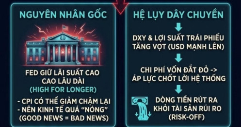 Tại sao toàn bộ thị trường quốc tế "sập" trong ngày 5/6?