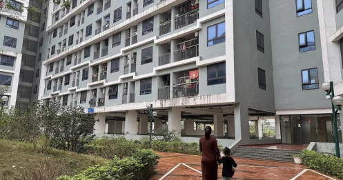 Rào cản nào khiến nhà cho thuê chưa hút người ở lâu dài?