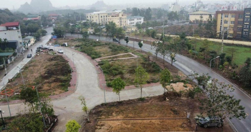 Bẫy lừa đảo bủa vây các phiên đấu giá đất
