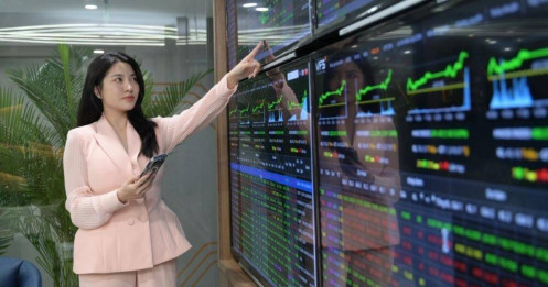 Bài viết HAY của chuyên gia