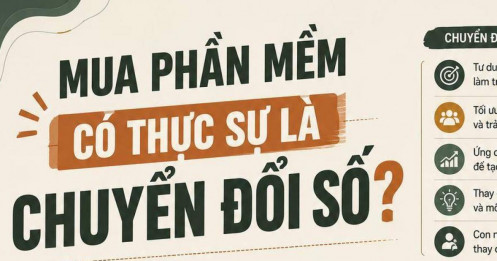Mua phần mềm có thực sự là chuyển đổi số?