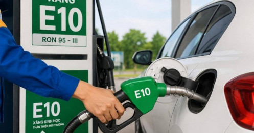 Xăng E10 qua bao nhiêu lớp kiểm định?