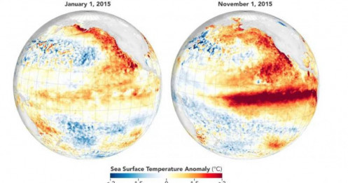 El Niño quay trở lại: Thị trường lương thực toàn cầu bước vào vùng nguy hiểm