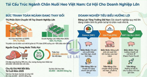 Ngành chăn nuôi Việt Nam trước chu kỳ mới: Cơ hội nào cho nhà đầu tư trung – dài hạn?