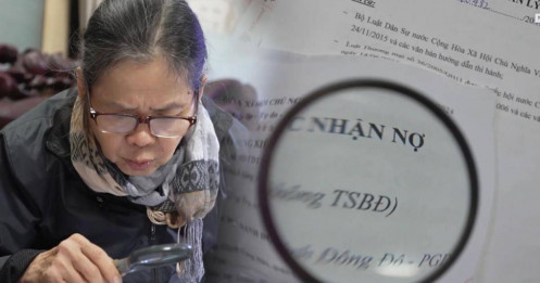 Người già sập bẫy kỳ nghỉ ảo