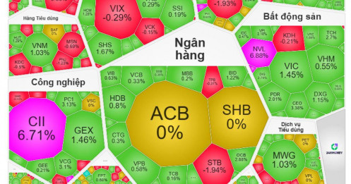 VN-Index ngược dòng "bão lửa" châu Á, dòng tiền đang đặt cược vào điều gì?