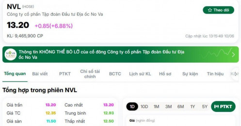 Cổ phiếu NVL bất ngờ tím lịm, chuyện gì đang xảy ra?