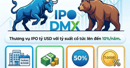 Nhà đầu tư có thể nhận cổ tức cực khủng tới 7.000đ sau 1 năm mua IPO DMX?