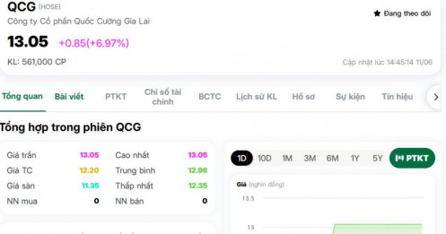 LDG, QCG đồng loạt tím lịm giữa phiên đỏ lửa: Dòng tiền đang đặt cược điều gì?