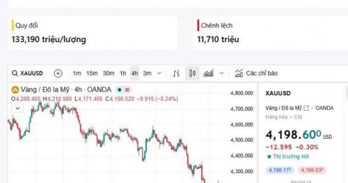 12/06 - Vàng tăng mạnh nhưng cũng chưa có gì để fomo cả!
