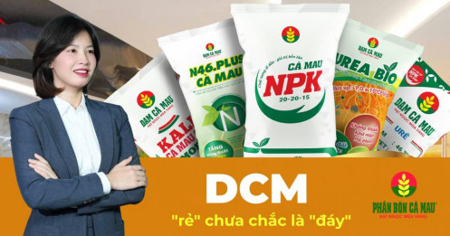 DCM – Lãi tăng 83% nhưng giá đã rơi 27% từ đỉnh