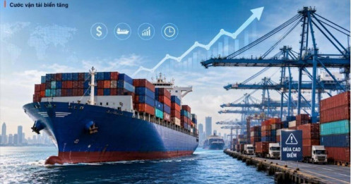Cước vận tải container tăng vọt