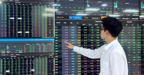 Cơ hội gom hàng khi định giá rơi về vùng "siêu rẻ"