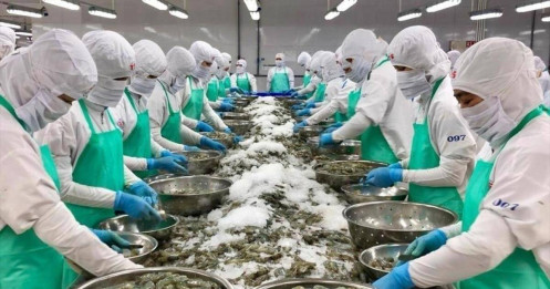 Nguy cơ thuế 12,5% buộc thủy sản phải lên tiếng?