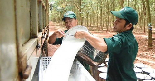 GVR bước vào chu kỳ bứt tốc