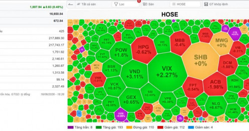 VN-INDEX 17/06/2026: FTS-CTS-BSI tăng là trần trần trần - Ngồi chơi tận hưởng thành quả