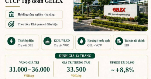 GEX - Phân tích và định giá 12 tháng