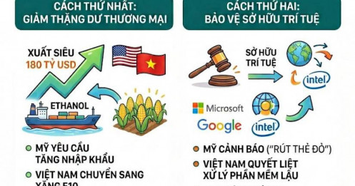 Sợi dây liên kết ngầm giữa việc chuyển đổi sang xăng E10 và chiến dịch dẹp phần mềm lậu