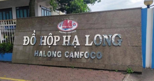 Phép thử niềm tin cho sự trở lại của Đồ hộp Hạ Long