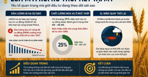 Một trong những câu chuyện đáng chú ý nhất của Lúa Mỳ thời điểm hiện tại chính là rủi ro thời tiết tại Mỹ