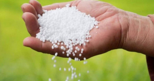Cổ phiếu phân bón mất sóng?