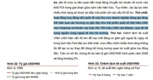 Bất ngờ: 1,1 tỷ USD đổ về từ Vingroup và Masan, tỷ giá có dịu lại?