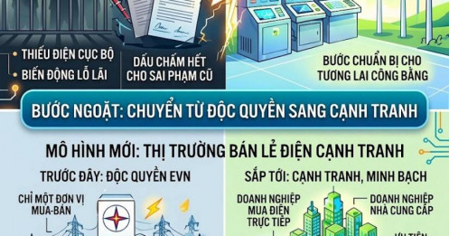 Ngành điện Việt Nam: Cuộc thanh lọc và bước ngoặt hướng tới thị trường cạnh tranh
