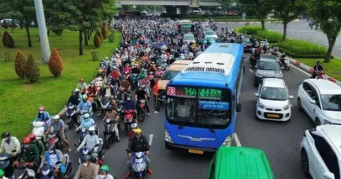 TP.HCM sẽ miễn 100% vé xe buýt?