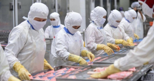 Thủy sản căng mình giữ thị trường