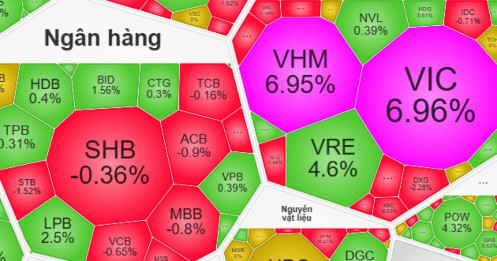 Chỉ 2 cổ phiếu góp tới 32 điểm, VN-Index có đang tăng "ảo"?