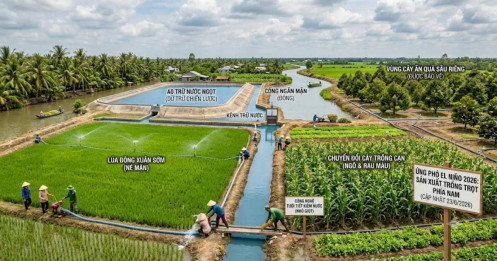 Chủ động ứng phó El niño 2026: Sản xuất trồng trọt phía Nam chuyển mình từ sớm, từ xa