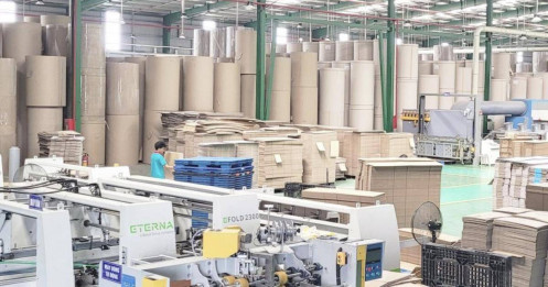 DHC: Điều thị trường đang nhìn thấy là một doanh nghiệp giấy
