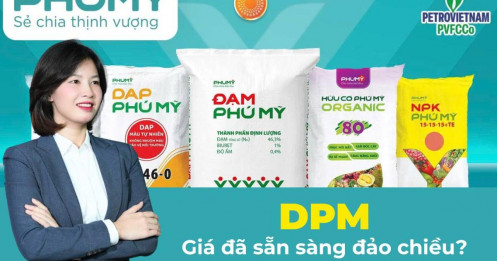 DPM: Lợi nhuận bùng nổ, giá cổ phiếu đã sẵn sàng đảo chiều?