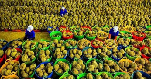 Lợi thế giá rẻ dần mất ngôi?