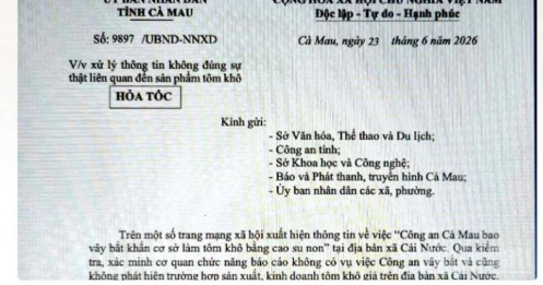 Thực hư chuyện tôm khô làm từ cao su non?