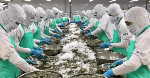 Hoa Kỳ liên tiếp mở các cuộc điều tra với Việt Nam, đại diện 320 DN gửi kiến nghị lên Bộ Công Thương