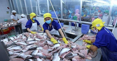 VHC: Doanh nghiệp đầu ngành nhưng đã đến vùng giá hấp dẫn?