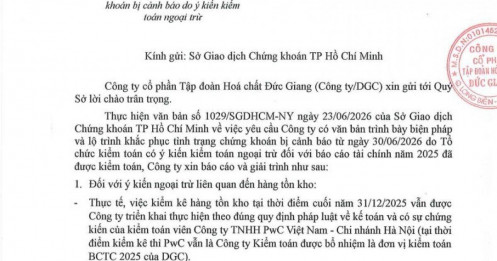DGC nói gì khi cổ phiếu rơi vào diện cảnh báo?
