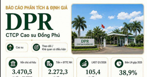 DPR – Phân tích và định giá cổ phiếu năm 2026
