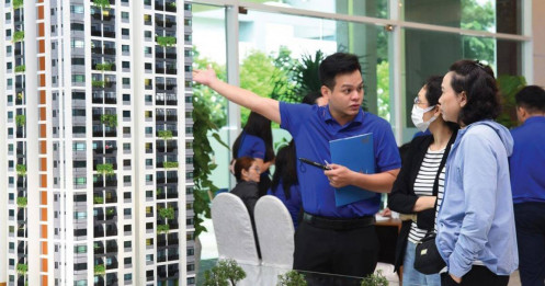 Thời kỳ thoái trào của những cơn sốt đất ảo