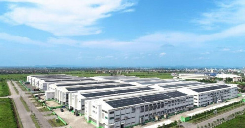 Cổ phiếu KCN đồng loạt giảm sâu, điều gì đang xảy ra?